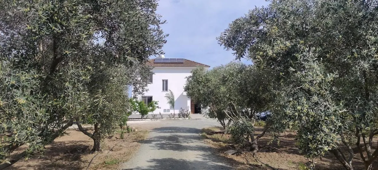 Villa Kiti Village Villa, Cyprus, Salt-Water Pool, 6 Bedrooms, Larnaca