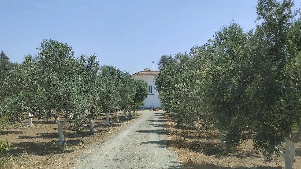 Villa Kiti Village Villa, Cyprus, Salt-Water Pool, 6 Bedrooms, Larnaca Cyprus